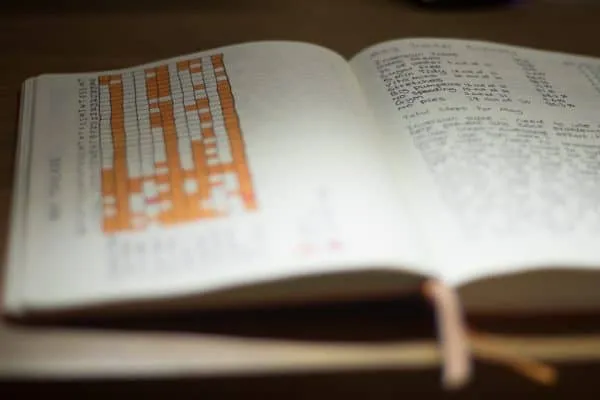 Monthly Tracking in Bullet Journal