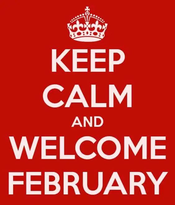 End of January and the Plan for February