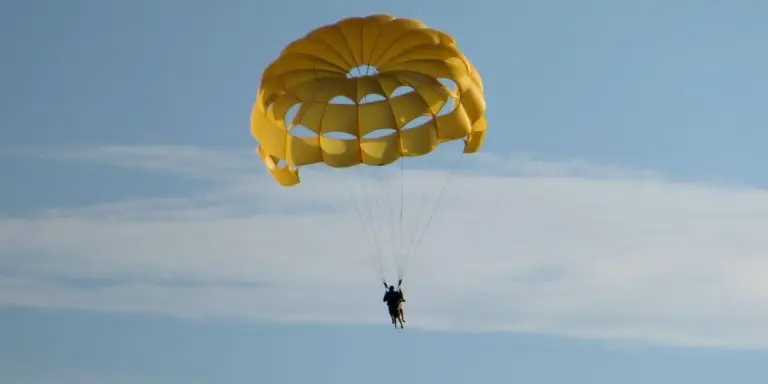 What Color is Your Parachute – Update