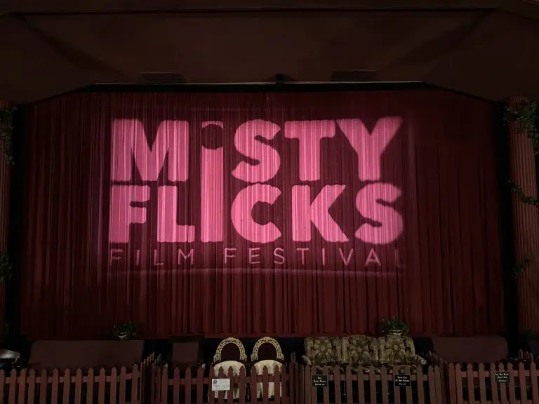 Helping out at a Film Festival