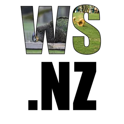 It’s been a busy few weeks