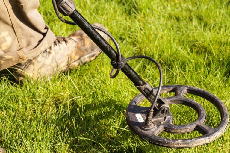 Metal Detector